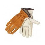 Todo para tu negocio